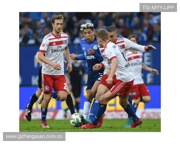 18岁武斯科维奇身价飙至四千万刷新汉堡队史最高纪录德甲赛场